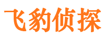 阜阳市侦探调查公司